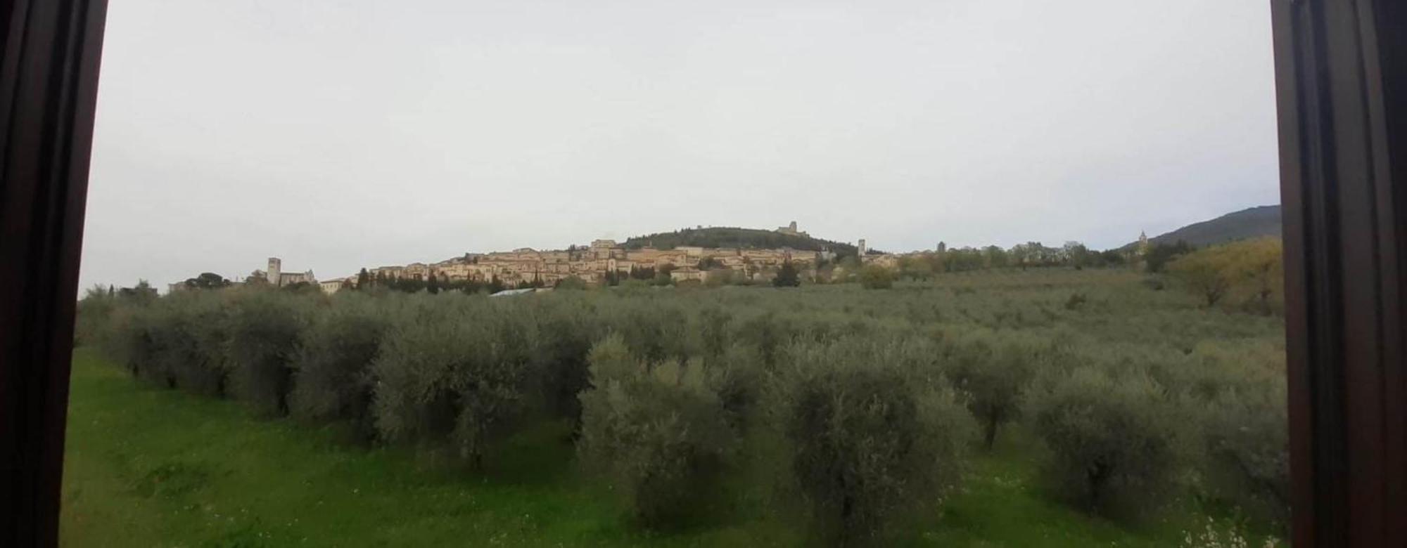 Appartamenti Cardinali Ассизи Экстерьер фото